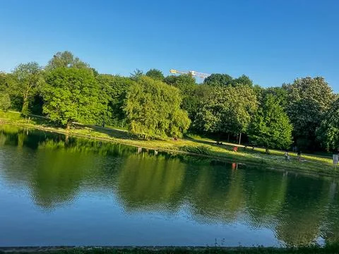 Park Pond Surrounded by Greenery 库存照片