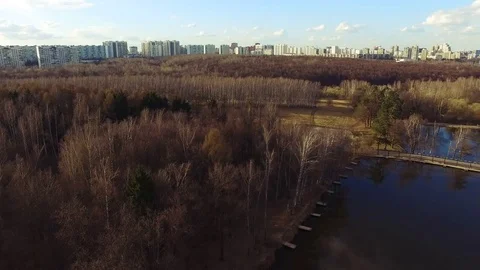 Park Pool In The Woods Stock Footage 75239576