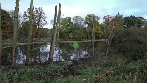 Park renovation Stock Footage 253639348