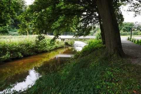 A park with a river gently winding through greenery and trees Foto stock