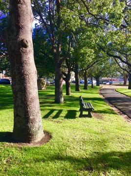 Park by the river Stock Photos