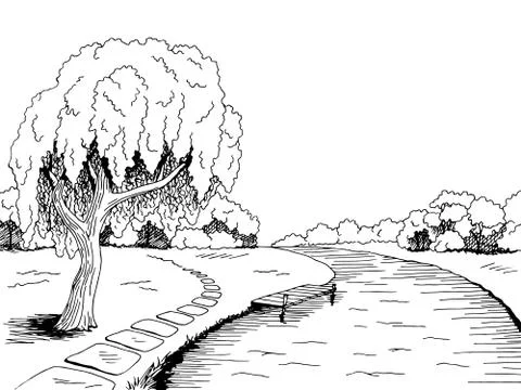 Park river willow tree graphic art black white landscape sketch illustration vec Stock Illustration