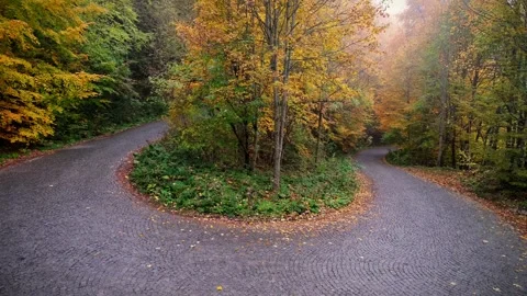 Park road in the autumn Stock Footage 291130859