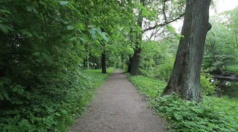 Park road, cloudy day 스톡 동영상 37146411