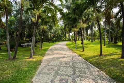 Park road 库存照片