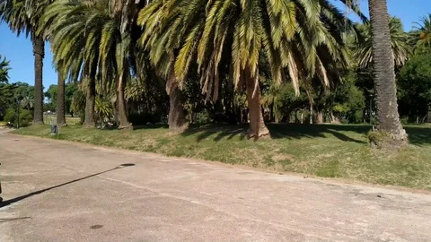Park Rodo Montevideo Uruguay Stockbeeldmateriaal 119476117