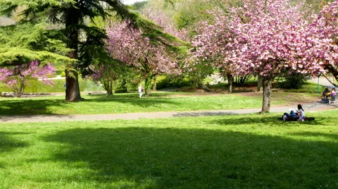 Park in Rome Stock-Footage 62180751