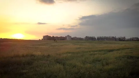 Park in Rome seen from a drone Stock Footage 100640778