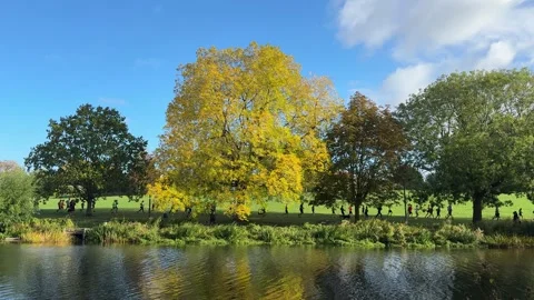 Park Run runners running through a park on a sunny Autumn day Stock Footage 318721944