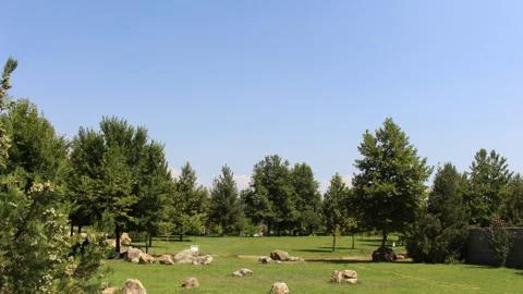 The park in the Rupite area Stock-Fotos