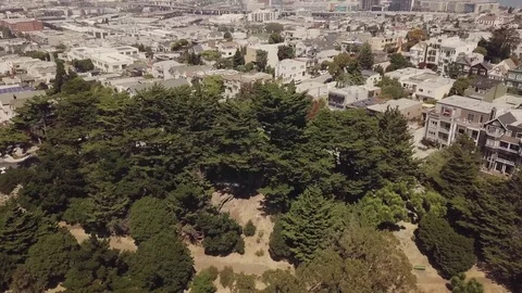 Park in San Francisco Stock Footage 83530658