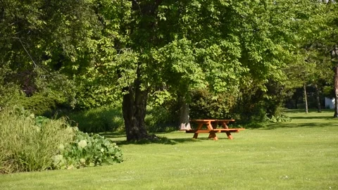 Park scene with blank table and benches for picnic. Video stock 134986110