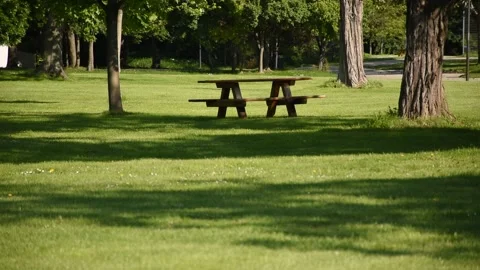 Park scene with blank table and benches for picnic. Stock Footage 134986126