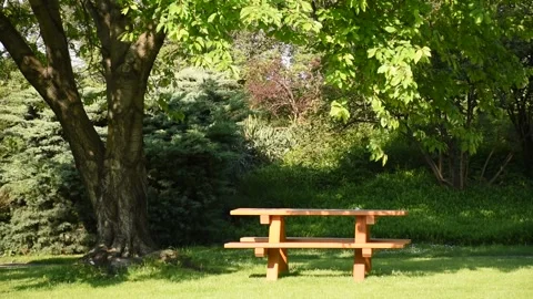 Park scene with blank table and benches for picnic. Stock Footage 134986145