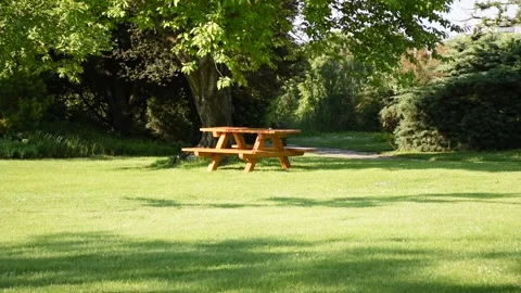 Park scene with blank table and benches for picnic. Stock Footage 134986152