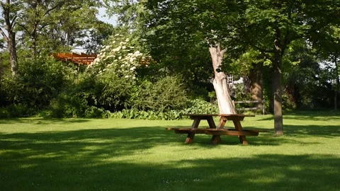 Park scene with blank table and benches for picnic. Stock Footage 134986159
