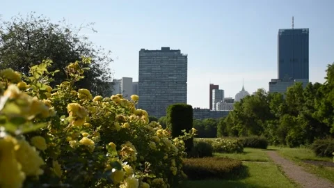 Park scene with blank table and benches for picnic Stock Footage 134986167
