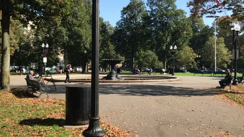 Park Scene in Boston in Fall Stock Footage 163185930