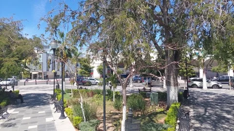 Park scene Stock Footage 172551703