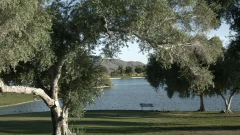 Park Scene Stock Footage 199513081