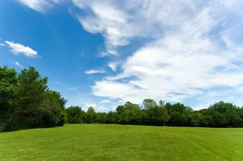Park scene Stock Photos