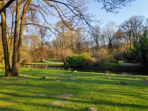 Park Scene Foto stock