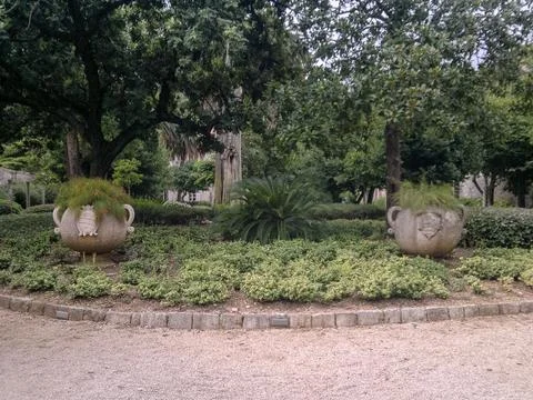 Park Scene 库存照片