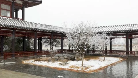 Park scenery in snow Stock Footage 170031124