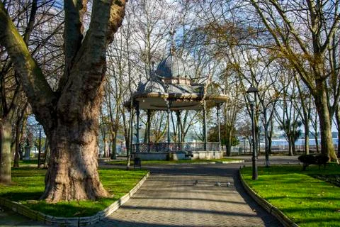 Park with several trees 스톡 사진