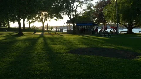 Park Shadows 4k Stock Footage 41609528