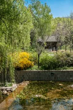 The park of the Shaolin Monastery. Stock Photos