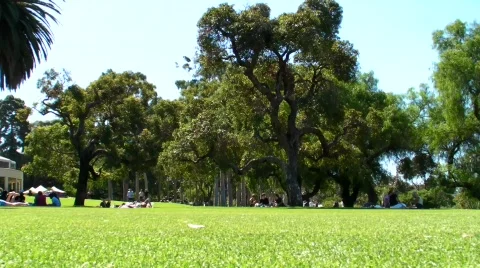 Park shot Stock Footage 489081