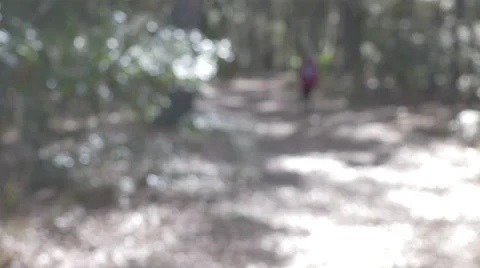 Park Sign (To Exit) Stock Footage 45841719