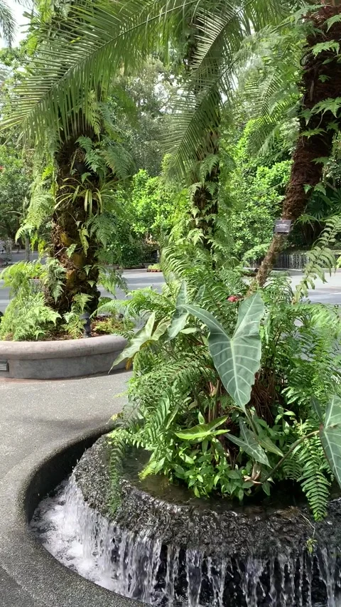 Park in Singapore Stock-Footage 344579645