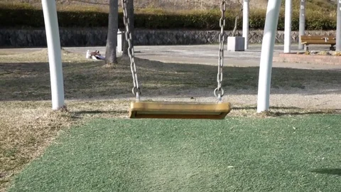Park single swing Video stock 88605745