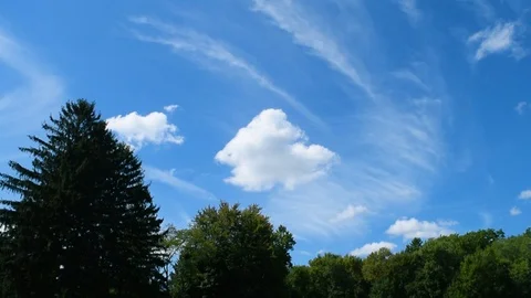 Park Sky Time Lapse Stock Footage 97599713