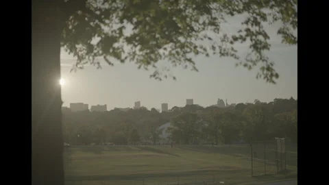 Park with skyline, low sun Video stock 285474852