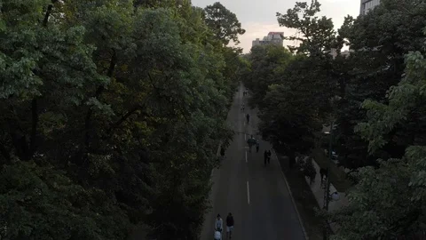 From park to skyscapers 库存影片 89524934