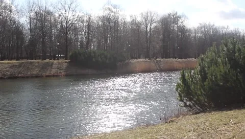 Park with small lake Stock Footage 331590739