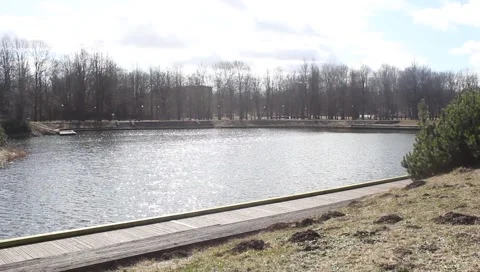 Park with small lake Stock Footage 331590740