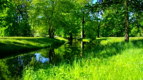 Park with small river Stock Footage 159659225