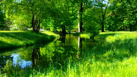Park with small river Stock Footage 219111088