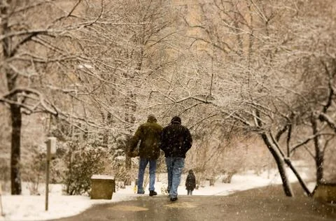 Park in snow Stock Photos