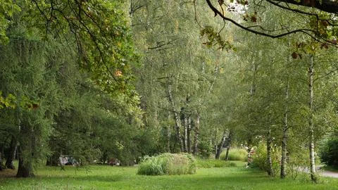 Park Sokolniki Stock Photos