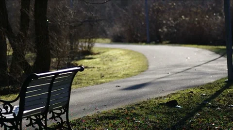 Park in spring. Stock Footage 47927914