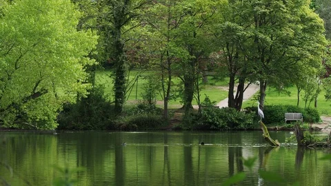Park in Spring Stock Footage 89746790