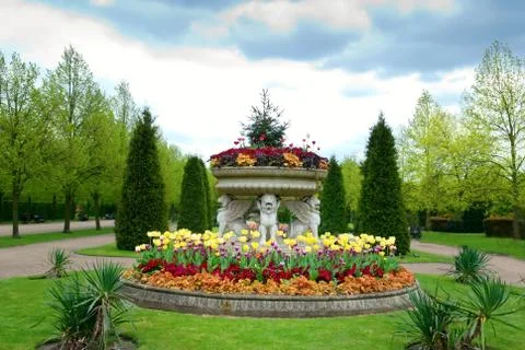 Park in the spring Stock Photos