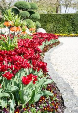 Park in spring Stock Photos