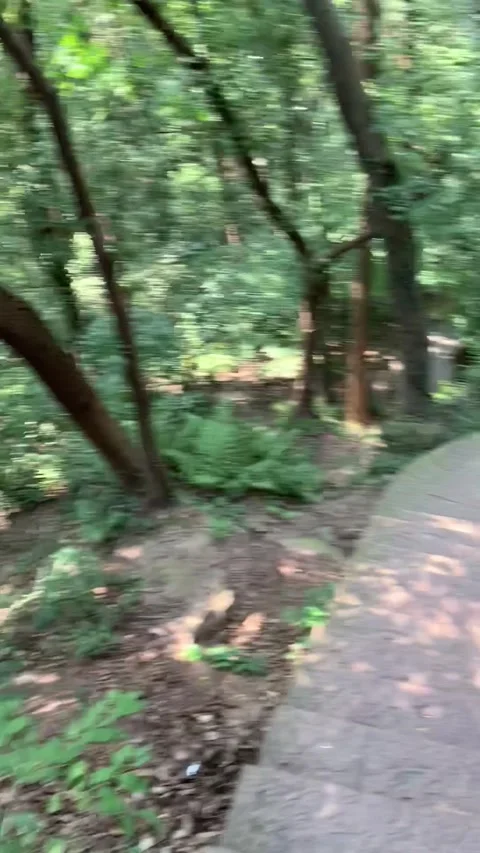 Park stairs in Hangzhou Video stock 341362095