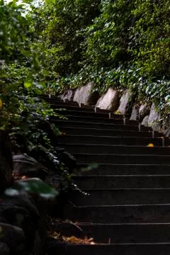 Park stairs Stock-Fotos
